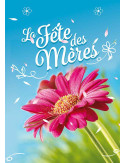 Affiches A2 (42x59,4 cm) Bonne Fête Maman fleur rose