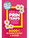 Affiches A3 (30x42 cm) Printemps